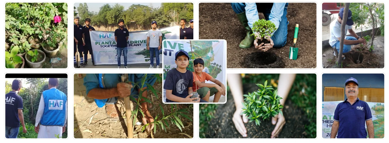 Plant A Tree