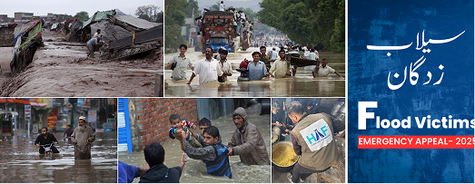 Pakistan Flood Relief