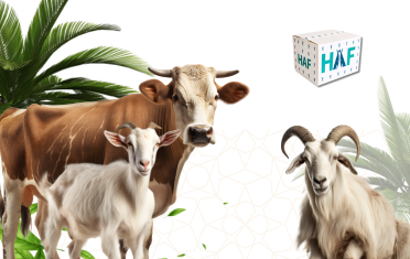 Qurbani For Gaza​